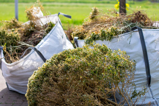 Best Appliance Removal  in San Augustine, TX